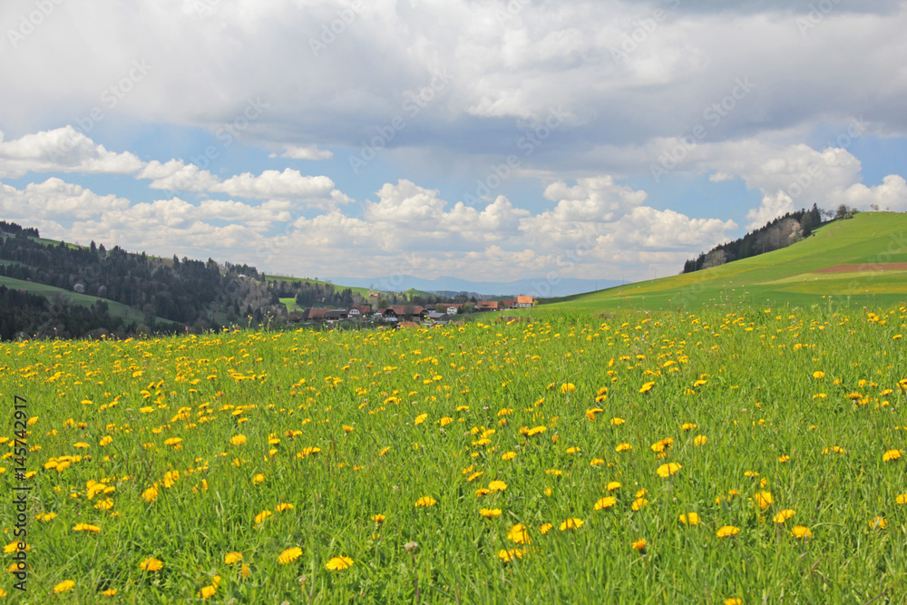 Fototapeta premium Längenberg, Alpen, Schweiz 