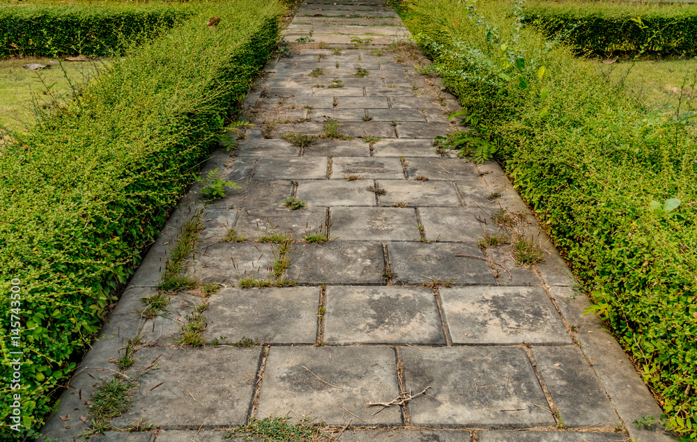 Concrete Pathway in the park