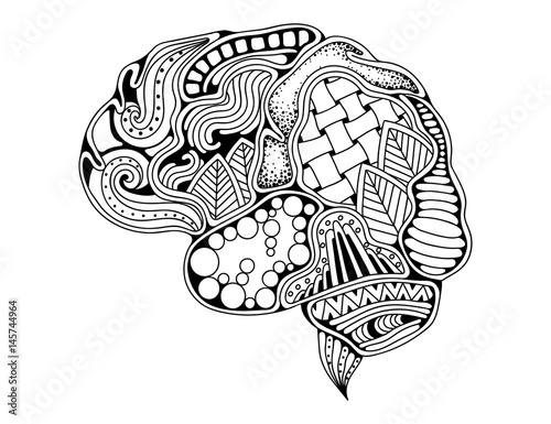 Human brain doodle decorative curves, creative mind, learning and design. Adult anti stress coloring book page
