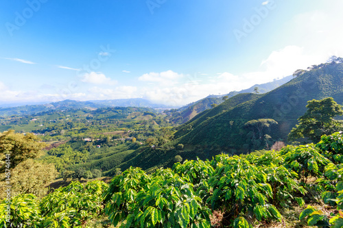 Landscape view of a valley filled with coffee plantations near Manizales, Colombia.