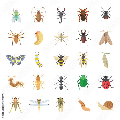 Insects color vector icons Fototapet