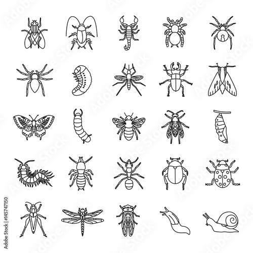 Insects outlines vector icons