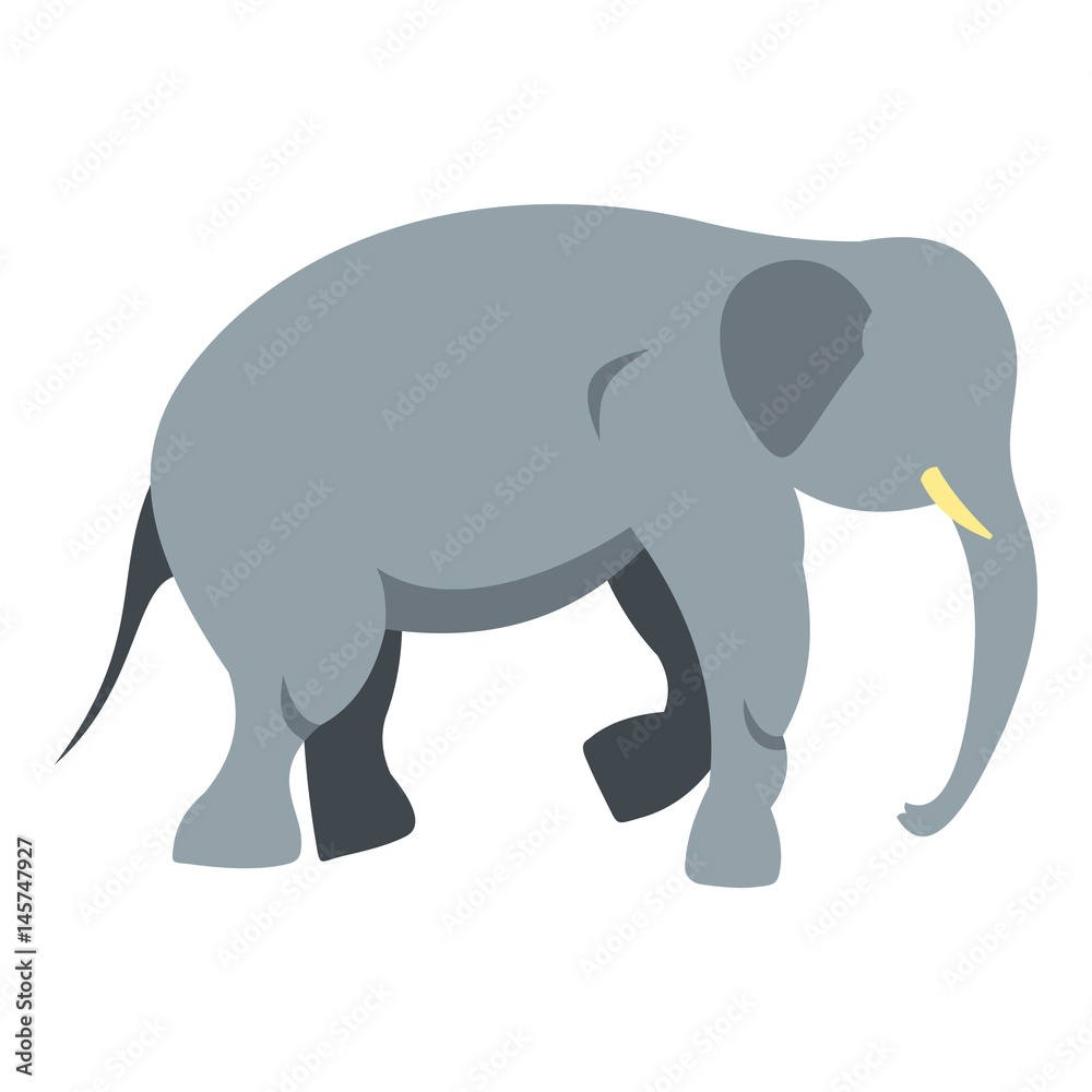 Fototapeta premium Elephant icon isolated