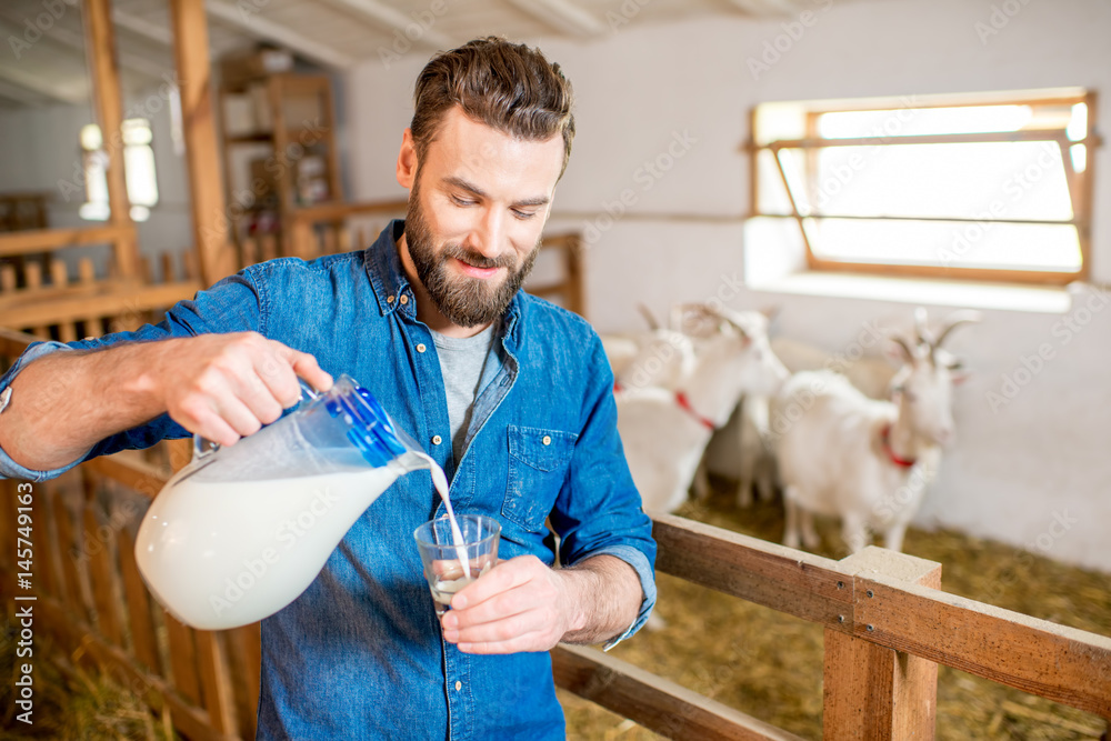 Handsome farmer pouring fresh milk standing in the goat barn with goats ...