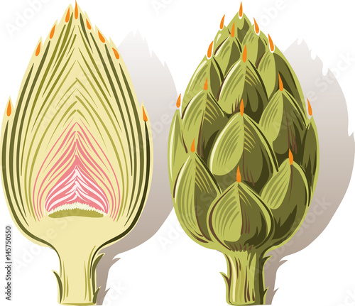 raw artichokes one cut in half.