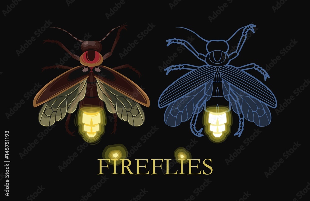 Obraz premium Illustration of glowing firefly