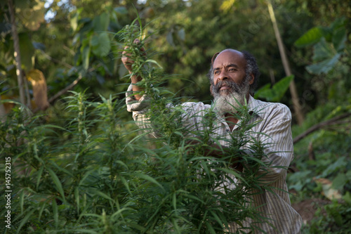 Organic Farmer