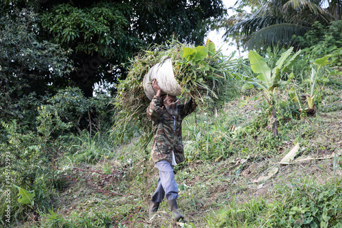Organic Farmer