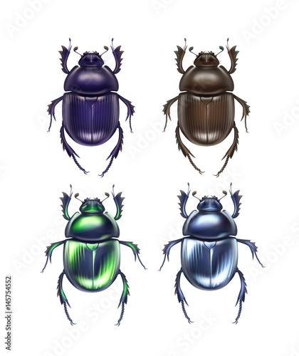 Set of scarab beetles
