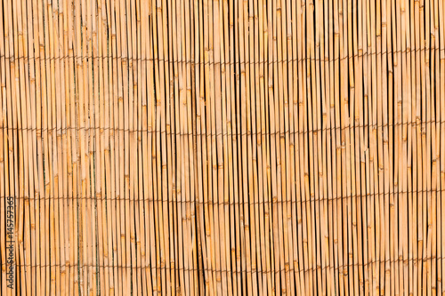 Curtain screen of reeds