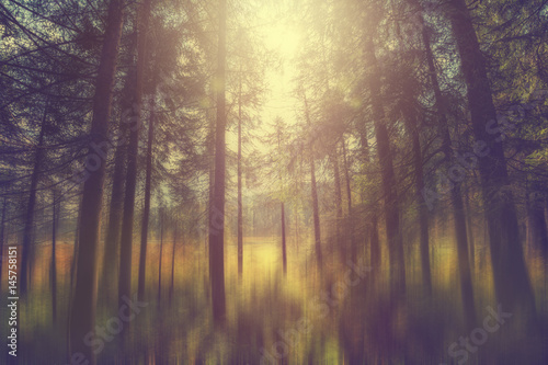 Märchenhafter Wald mit Sonnenlicht, Abstrakt