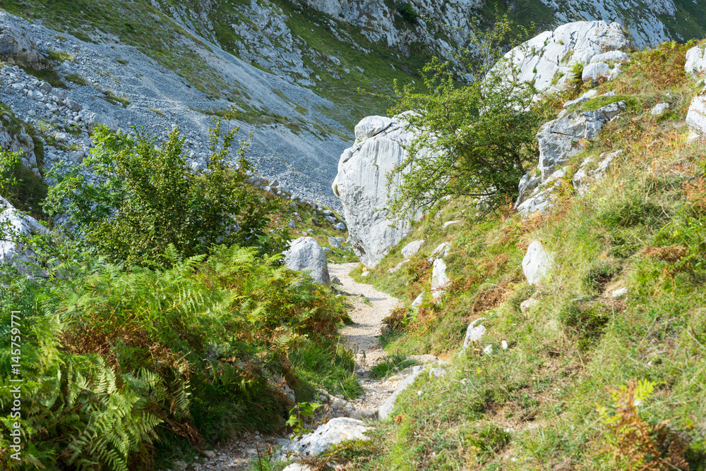 The Canal del Texu is a hiking trail and a passage way between the village Bulnes and Poncebos at the river Rio Cares. The trackway leads along the river Rio Bulnes, at the foot of the Picos de Europa The Canal del Texu is a hiking trail and a passage way between the village Bulnes and Poncebos at the river Rio Cares. The trackway leads along the river Rio Bulnes, at the foot of the Picos de Europa
