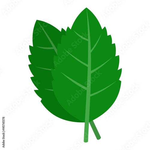 Fresh green basil leaves icon isolated