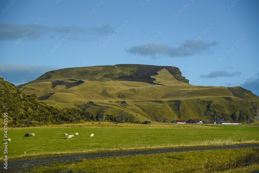 beautiful mountain landscape in summer of Iceland