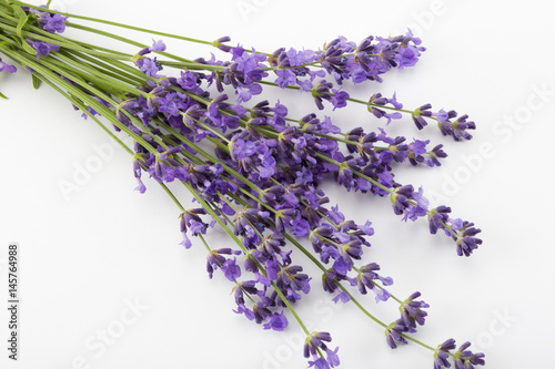Studio shot of fresh lavender flower bouquet 