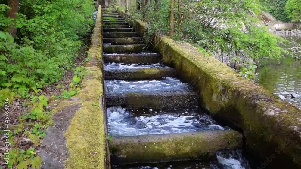 Fischtreppe an der Wied