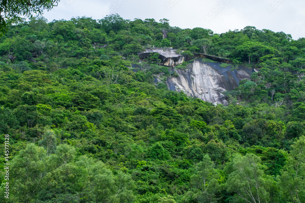 Mountain covered by jungle, Vietnam, South-East Asia