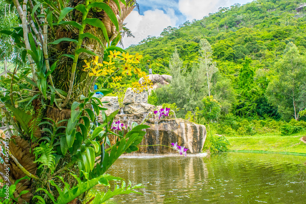Yellow orchid on a tree in a tropical park near lake with waterfall, Vietnam, Orchid Island