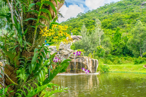 Obraz na płótnie Yellow orchid on a tree in a tropical park near lake with waterfall, Vietnam, Orchid Island w salonie