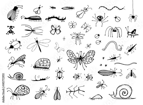 Set of Hand Drawn Insects or Small Animals Sketch Vector Illustration Isolated on White Background photo