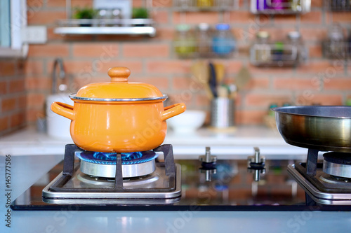 Slika na platnu Kitchen luxury cooking closeup pot on the gas stove
