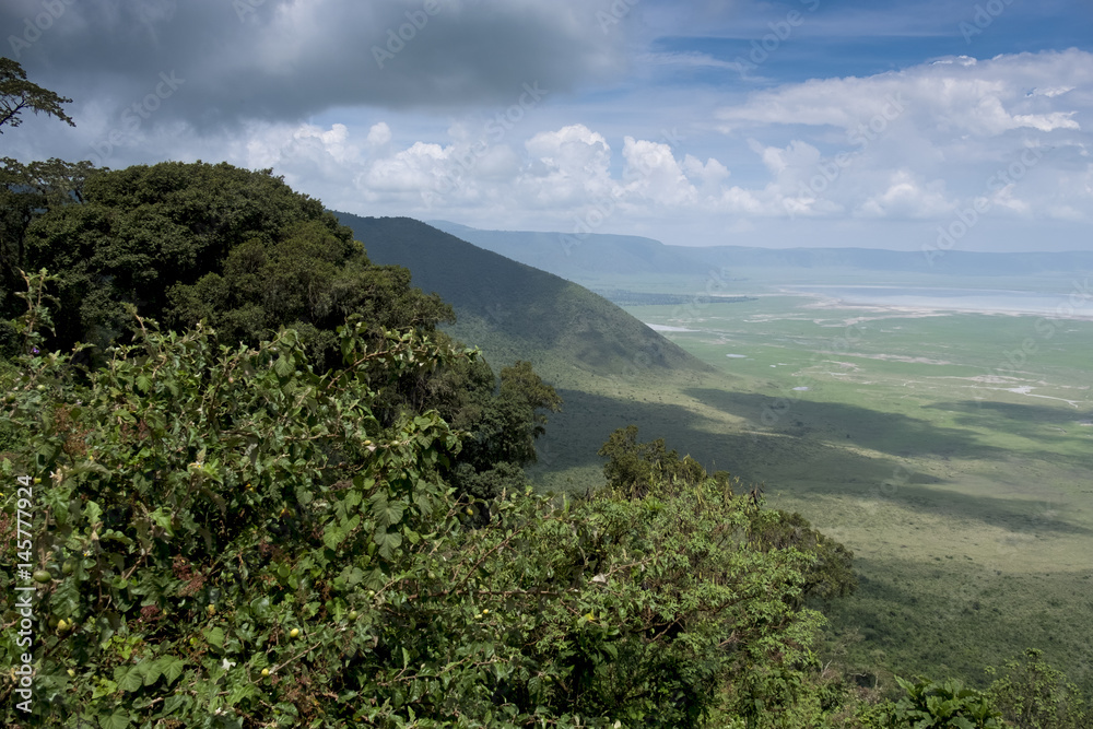 Ngorongoro Gorge Overview