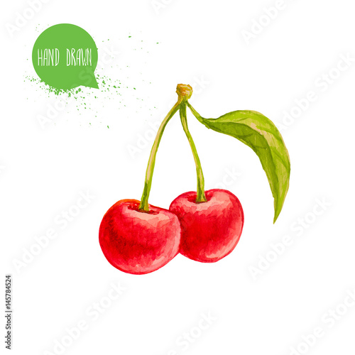 Hand drawn and painted watercolor ripe cherries with leaf. Isolated on white background. Berries and fruit illustration.