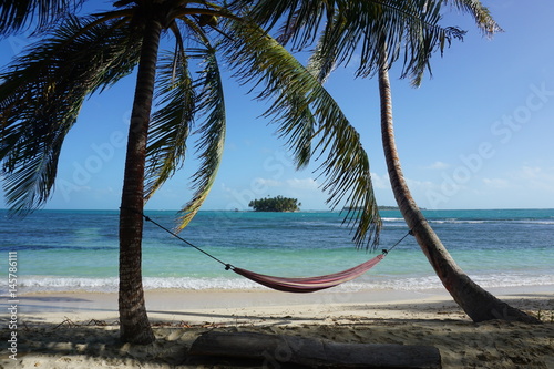 Tropical island with hammock