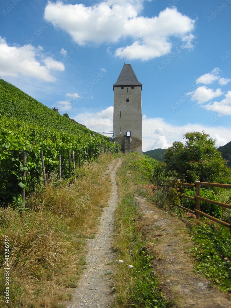 Tower in the Vineyards