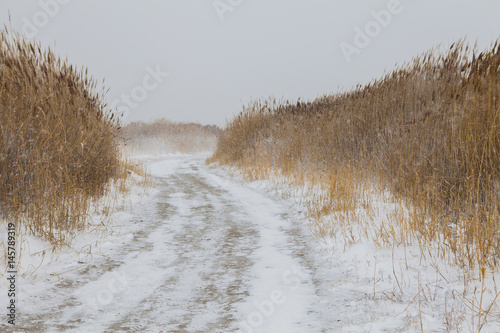 Wallpaper Mural Winters First Snowfall Torontodigital.ca