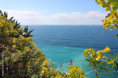 frühling am Meer