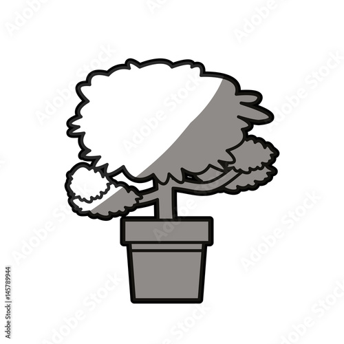 pot tree decoration plant natural shadow line vector illustration