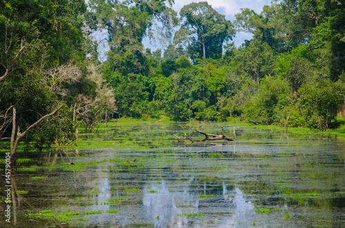Moat near Preah Khan temple, Angkor, Cambodia photo