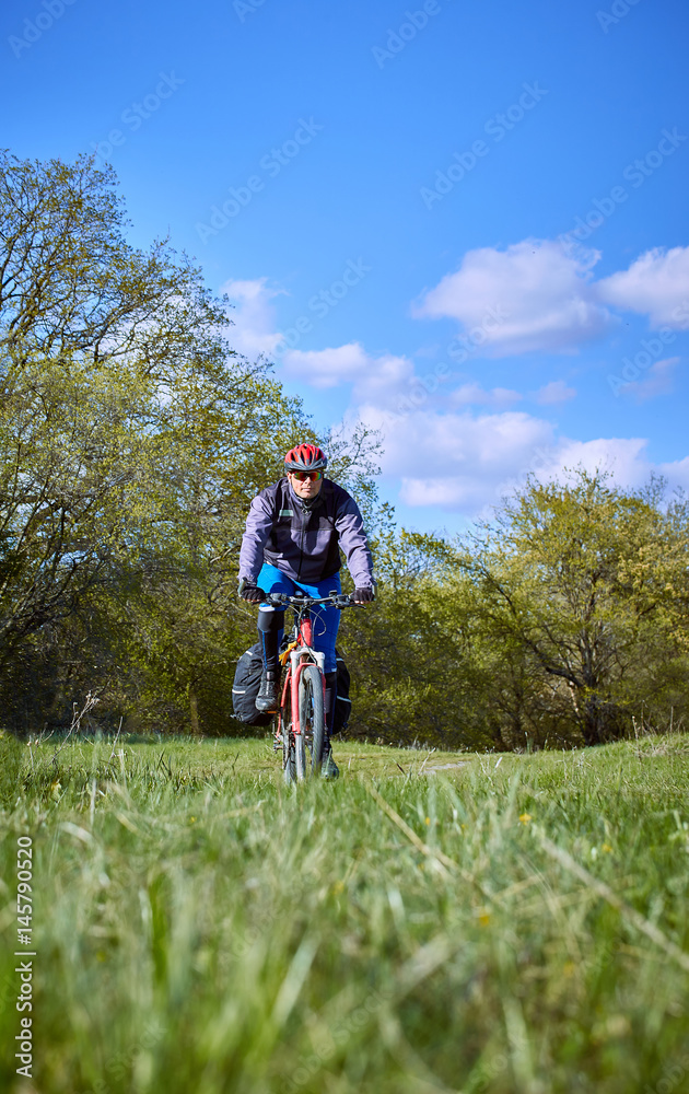 Walking a bike through the forest in the spring.