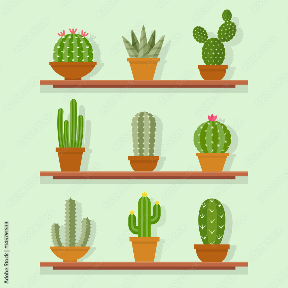 Cactus icon vector illustration in a flat style Cactus icon vector illustration in a flat style