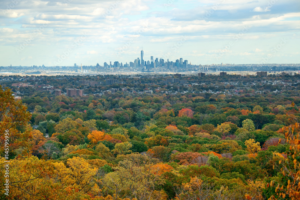 New York City skyline viewed from park