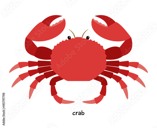 Crab - aquatic animal destroying commercial shellfish - oysters and mussels
