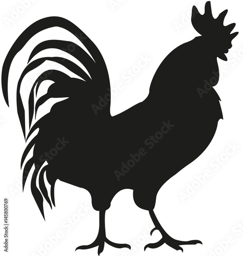 rooster. blsck silhouette