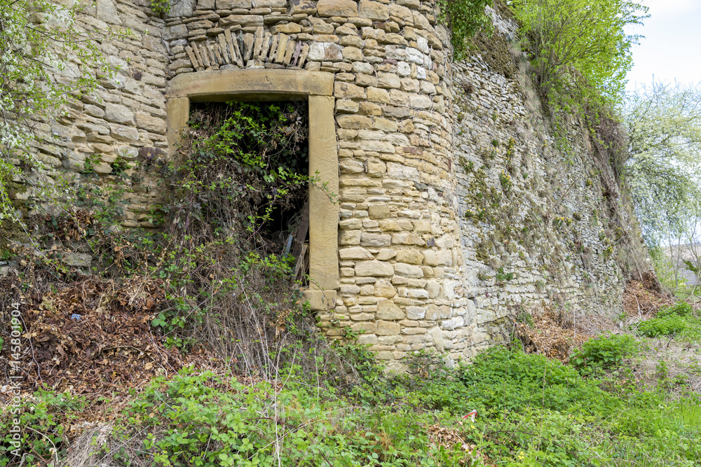 Enchanted door in a castle wall