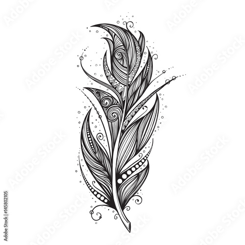 Isolate feather icon vector illustration