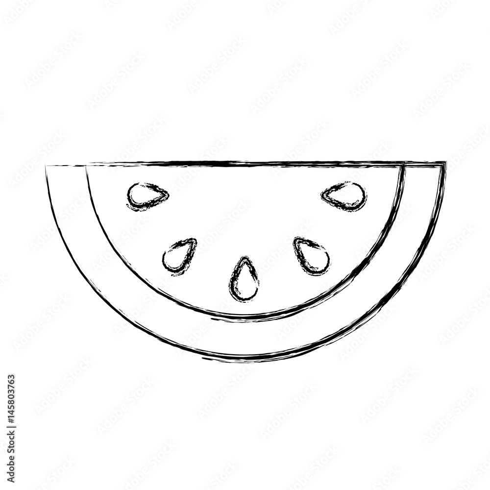 melon fresh fruit icon vector illustration design melon fresh fruit icon vector illustration design