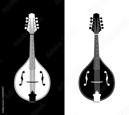 Flat Detailed Vector Illustration of Mandolins