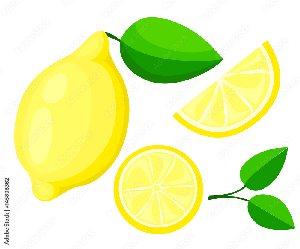 Vector lemon. Fresh lemon fruits, collection of vector illustrations isolated set packaging juice design sour citrus Vector lemon. Fresh lemon fruits, collection of vector illustrations isolated set packaging juice design sour citrus