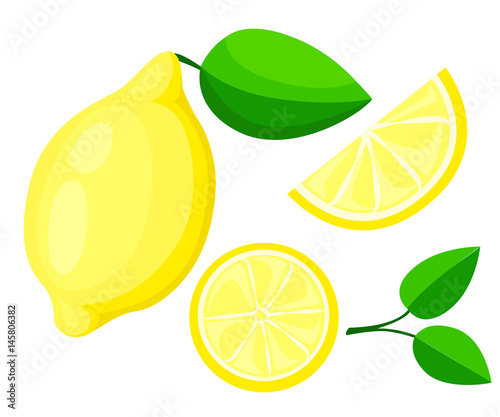 Vector lemon. Fresh lemon fruits, collection of vector illustrations isolated set packaging juice design sour citrus