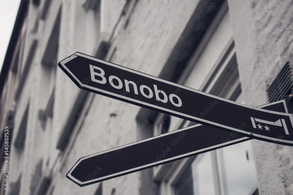 Obraz premium Street Sign