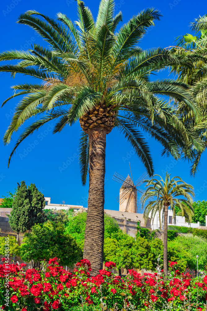 View of an old historic windmill in Palma de Majorca Spain