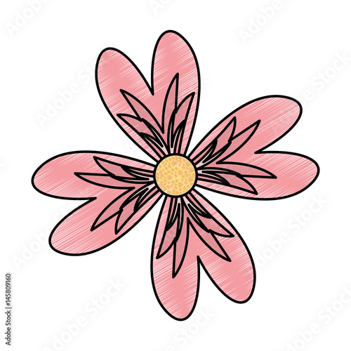 cute flower decorative icon vector illustration design