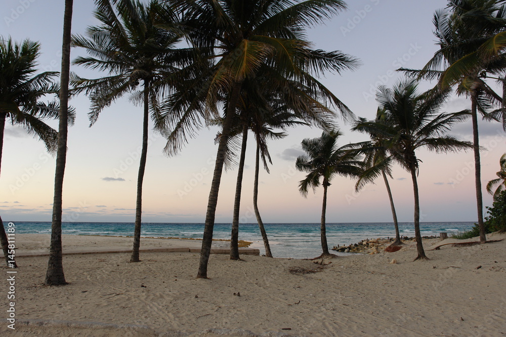 COCOS COCOS
