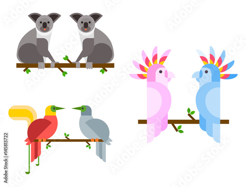 Young koala sitting on tree branch australia bear cute mammal peaceful relaxation nature vector