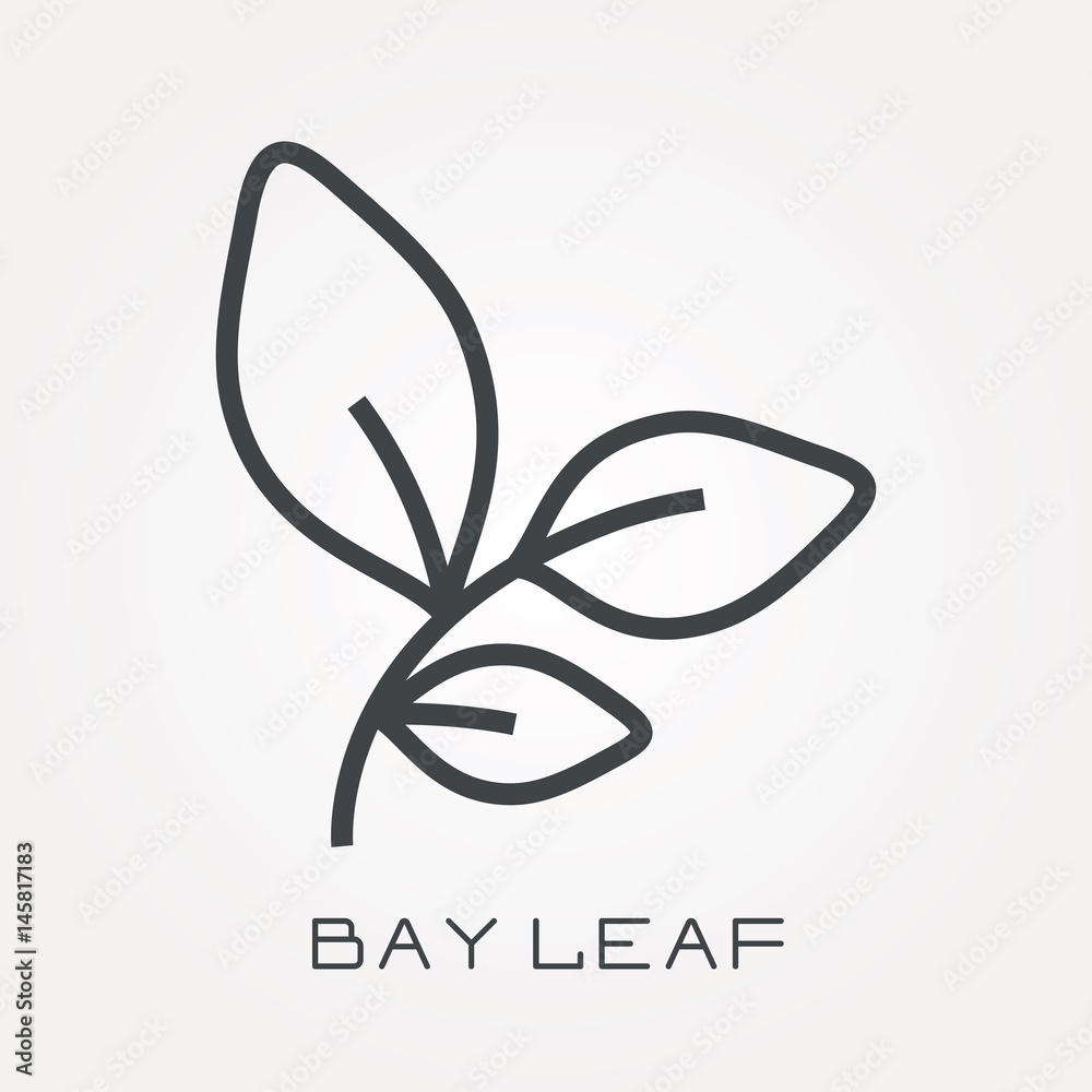 Line icon bay leaf